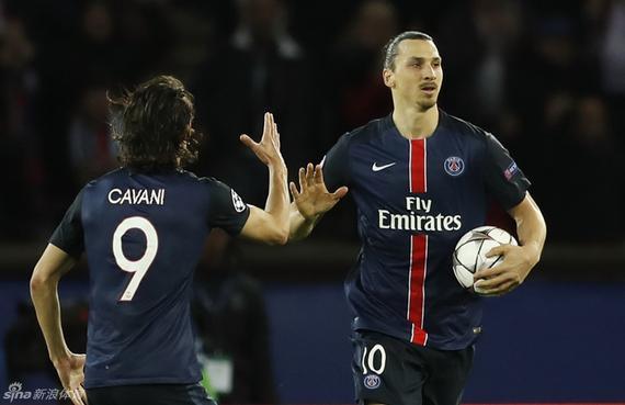 期望能在体 期望能在体