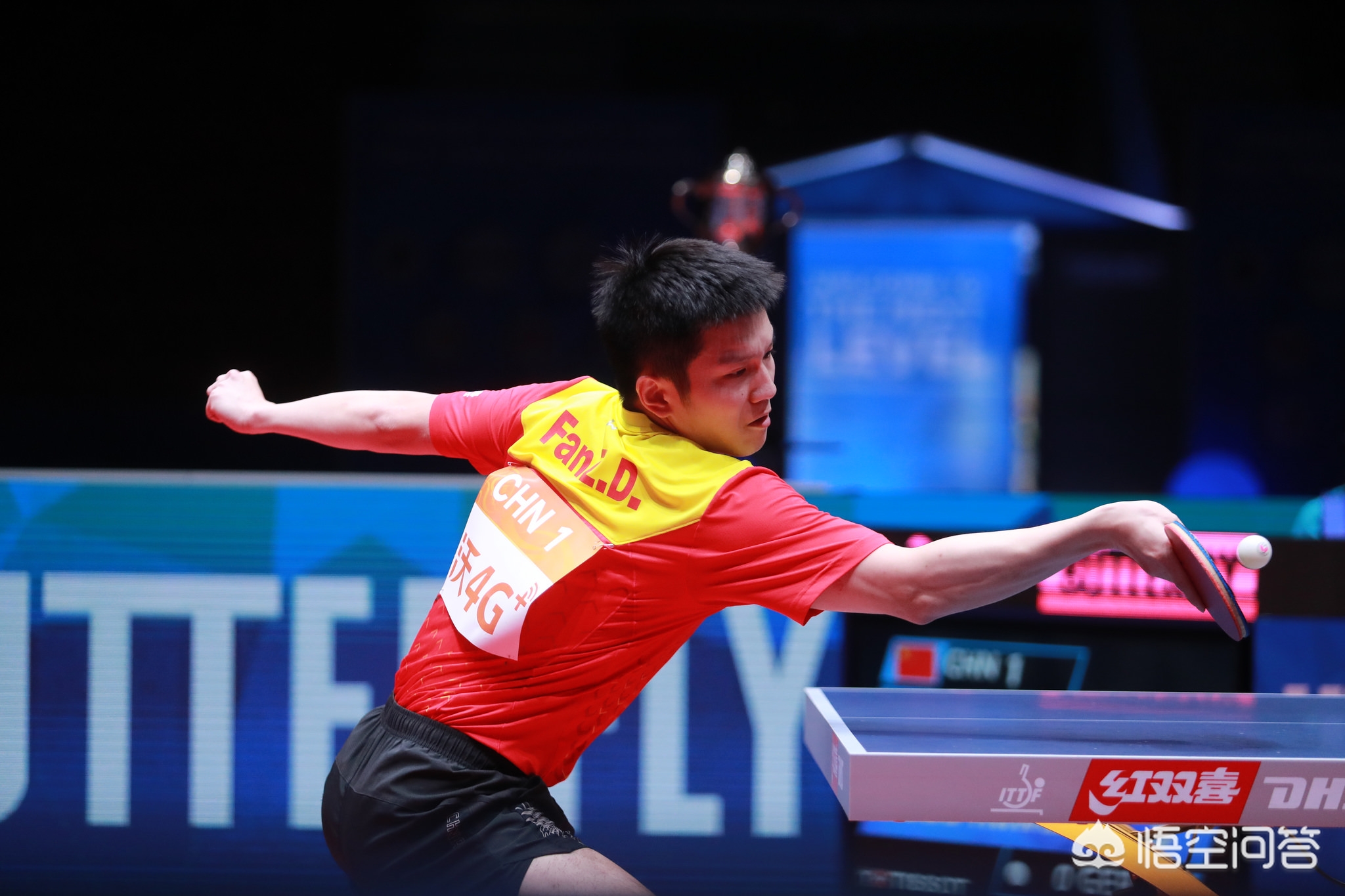 我们的生活 我们的生活