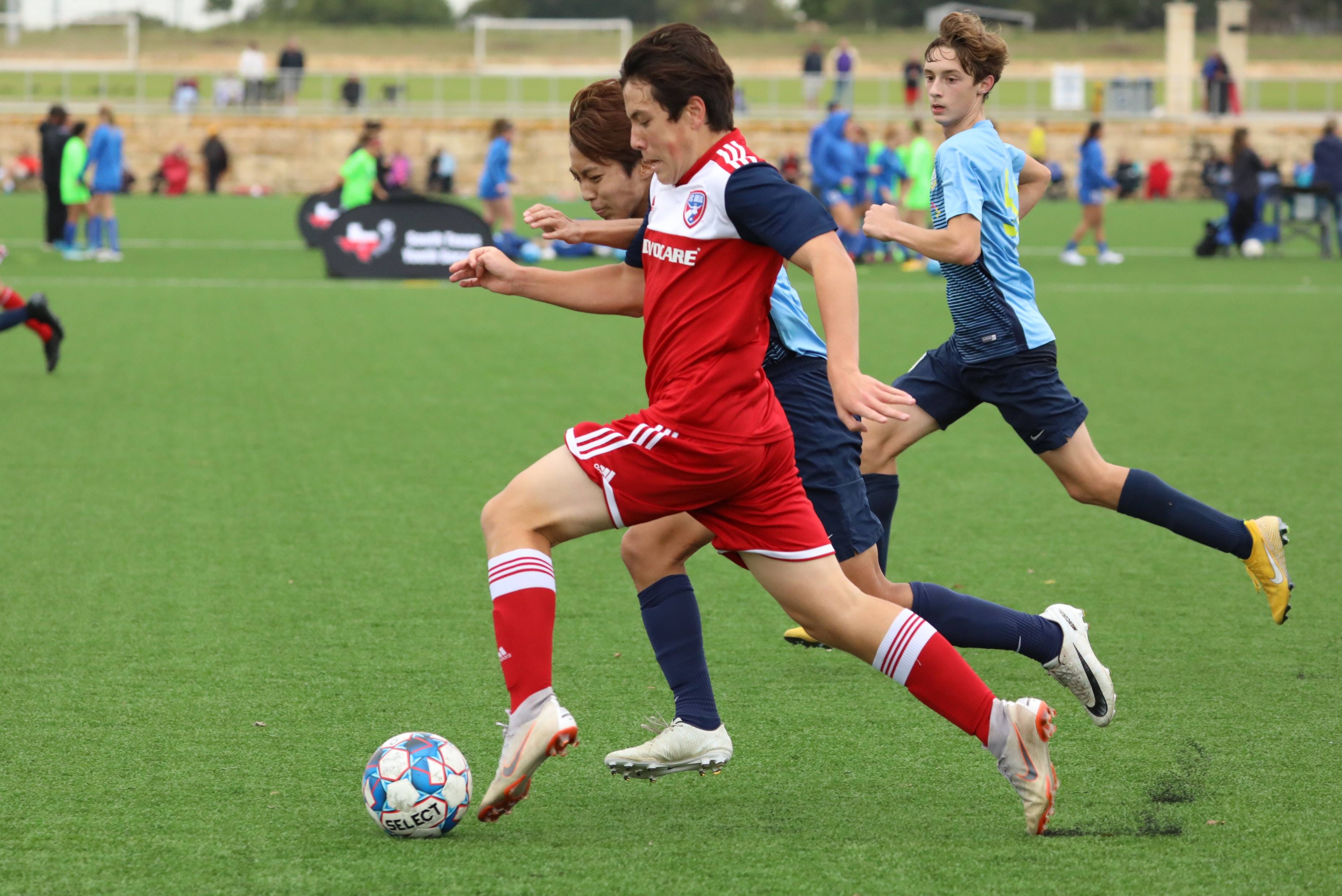 赢得一切 赢得一切